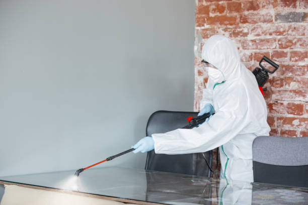 Reliable Plainsboro Center, NJ Mold Removal & Remediation Solutions